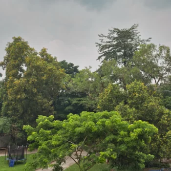 Appart24 Location appartement Kinshasa Gombe appartement meublé à louer Kinshasa