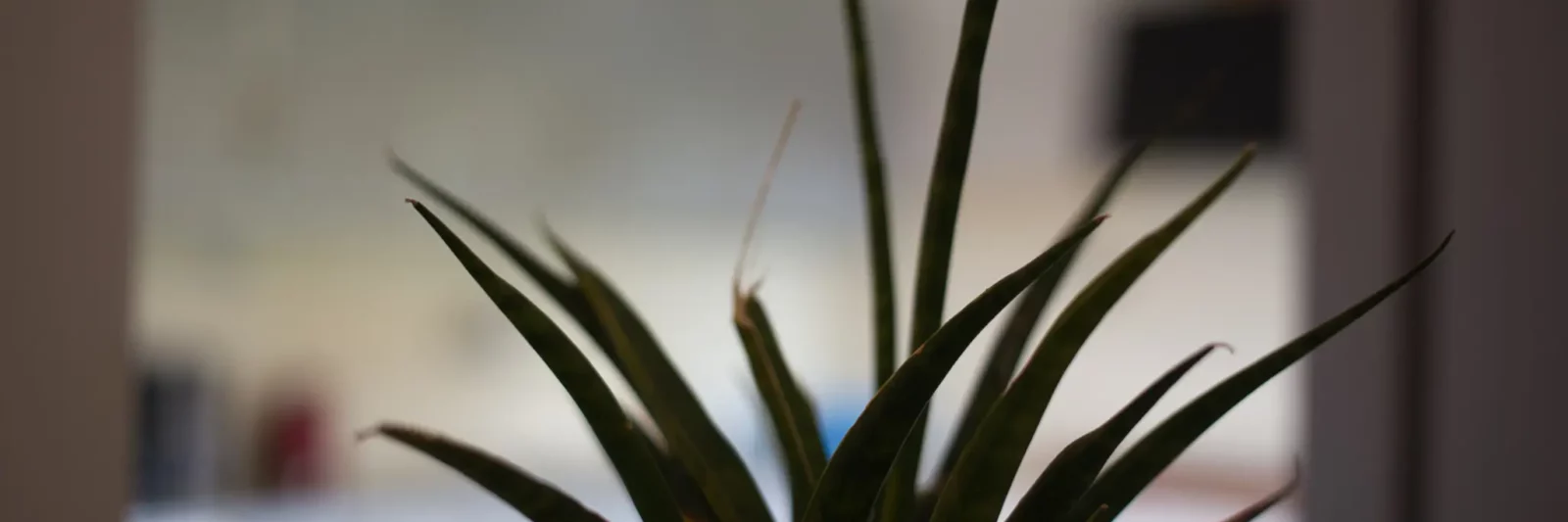 Appart24 Location appartement Kinshasa Gombe appartement meublé à louer Kinshasa