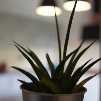 Appart24 Location appartement Kinshasa Gombe appartement meublé à louer Kinshasa