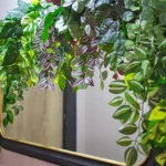 Appart24 Location appartement Kinshasa Gombe appartement meublé à louer Kinshasa
Évitez les frais de commission