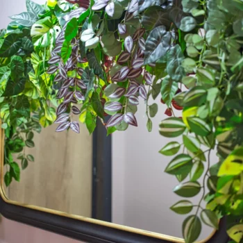 Appart24 Location appartement Kinshasa Gombe appartement meublé à louer Kinshasa Évitez les frais de commission