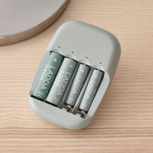 Chargeur de piles